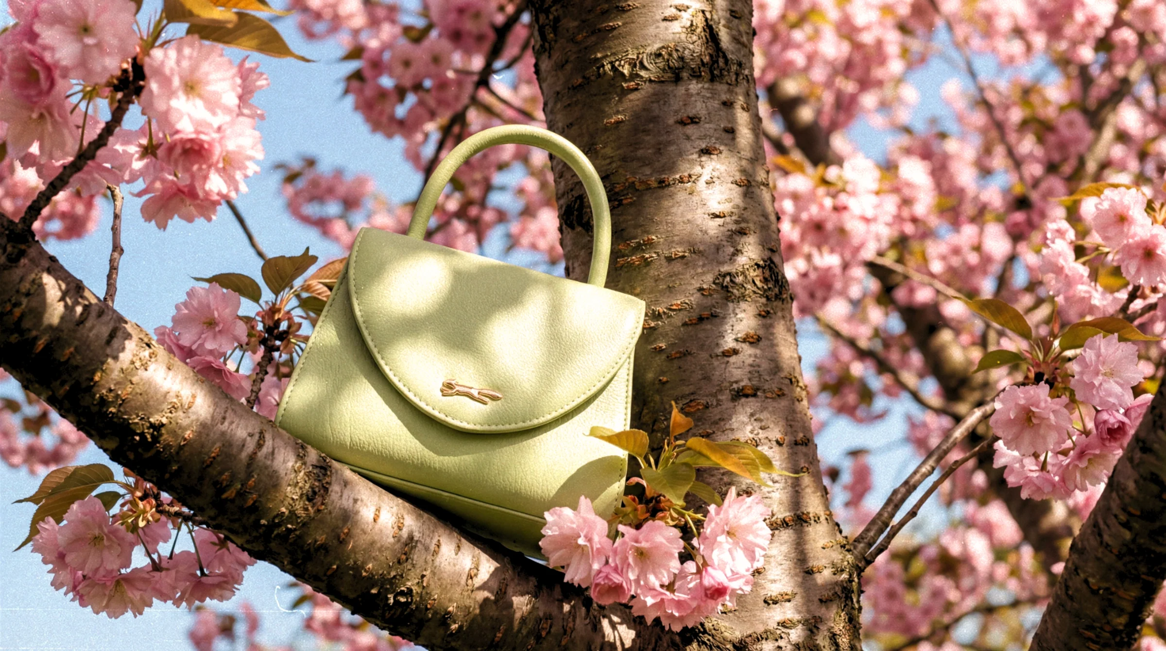 Timeless Elegance, Iconic Craftsmanship